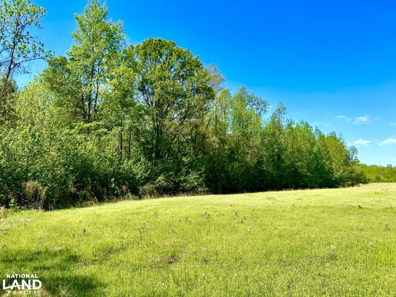 20 +/- acre hayfield - wood line to pond (26 of 87)