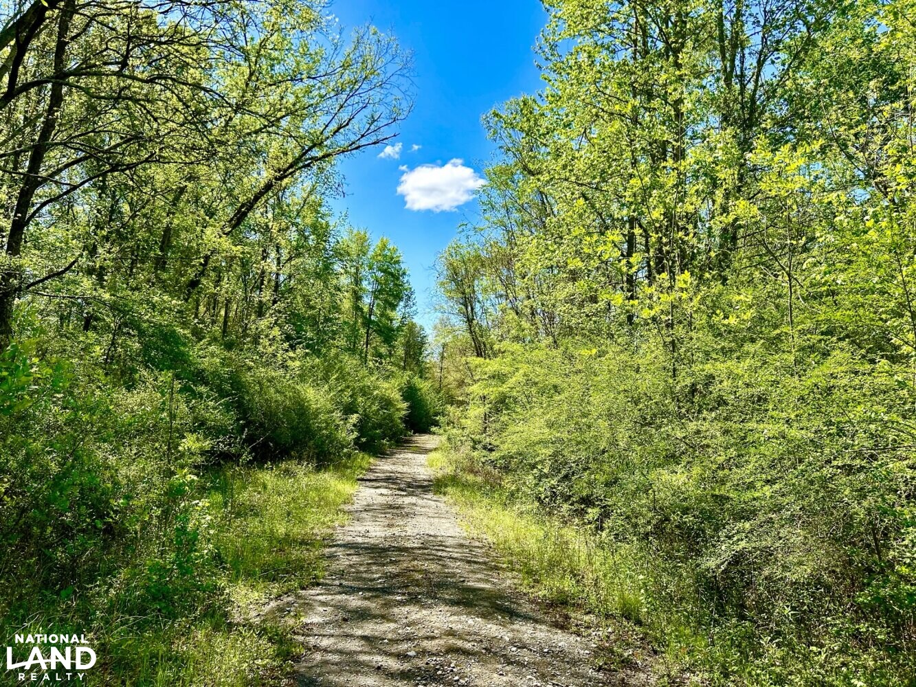 Trail to hardwood timberland from hayfields (31 of 87)