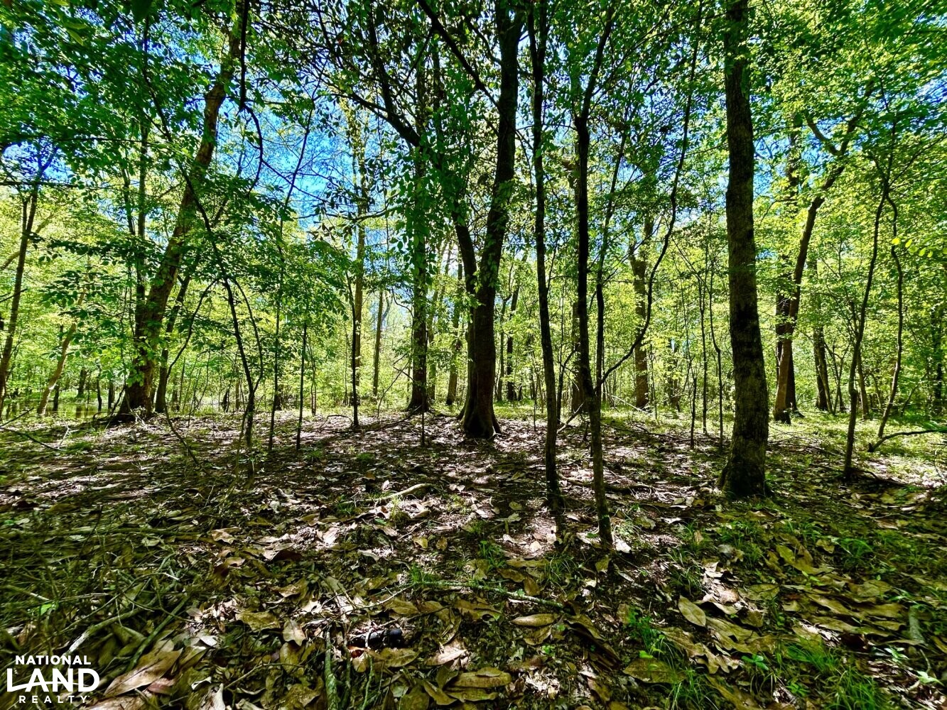 Hardwood Flat (41 of 87)