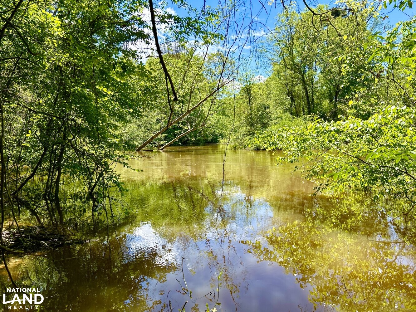 Potterchitto Creek (high water) (34 of 87)