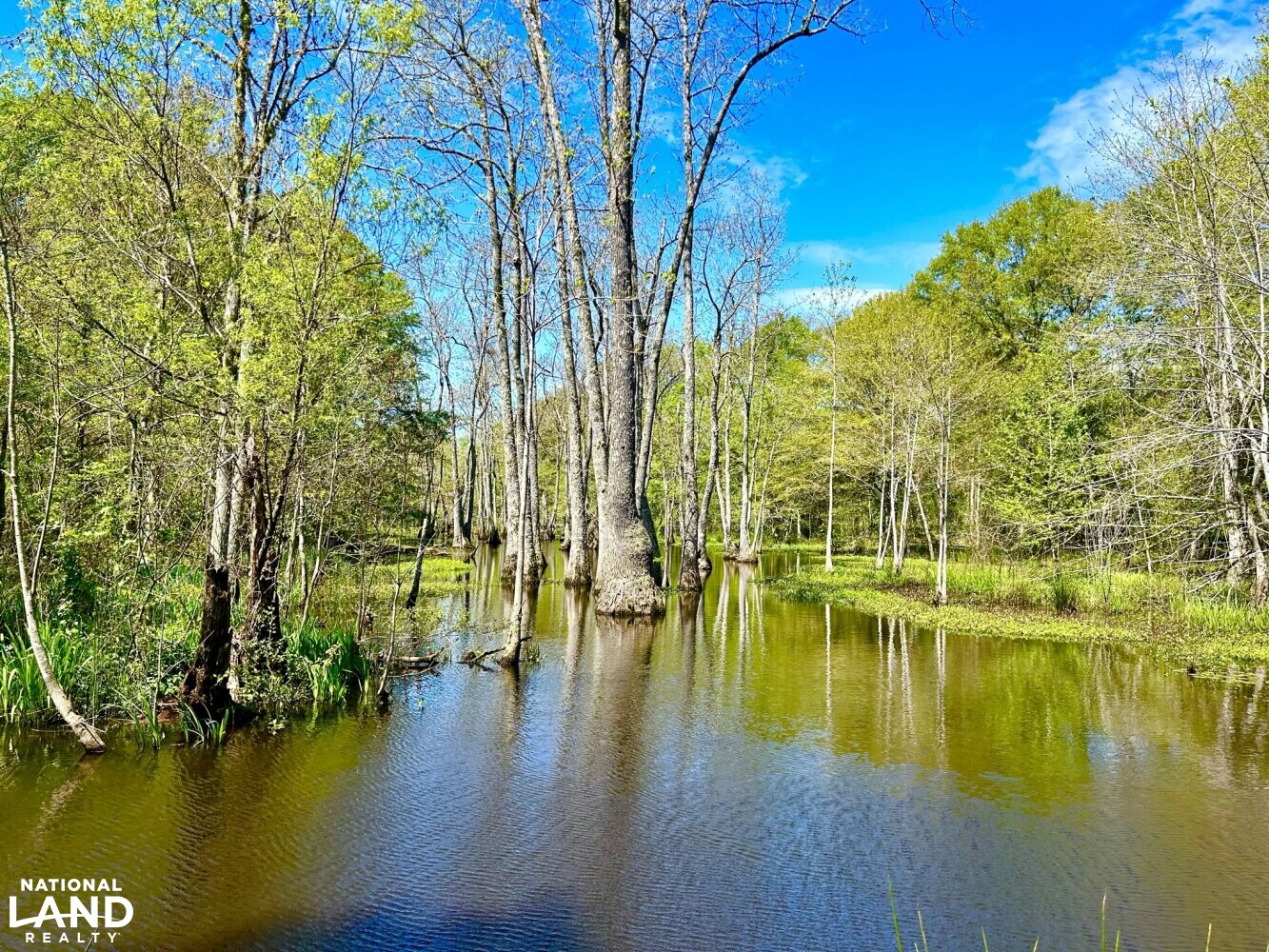 Cyrpess/gum slough (33 of 87)