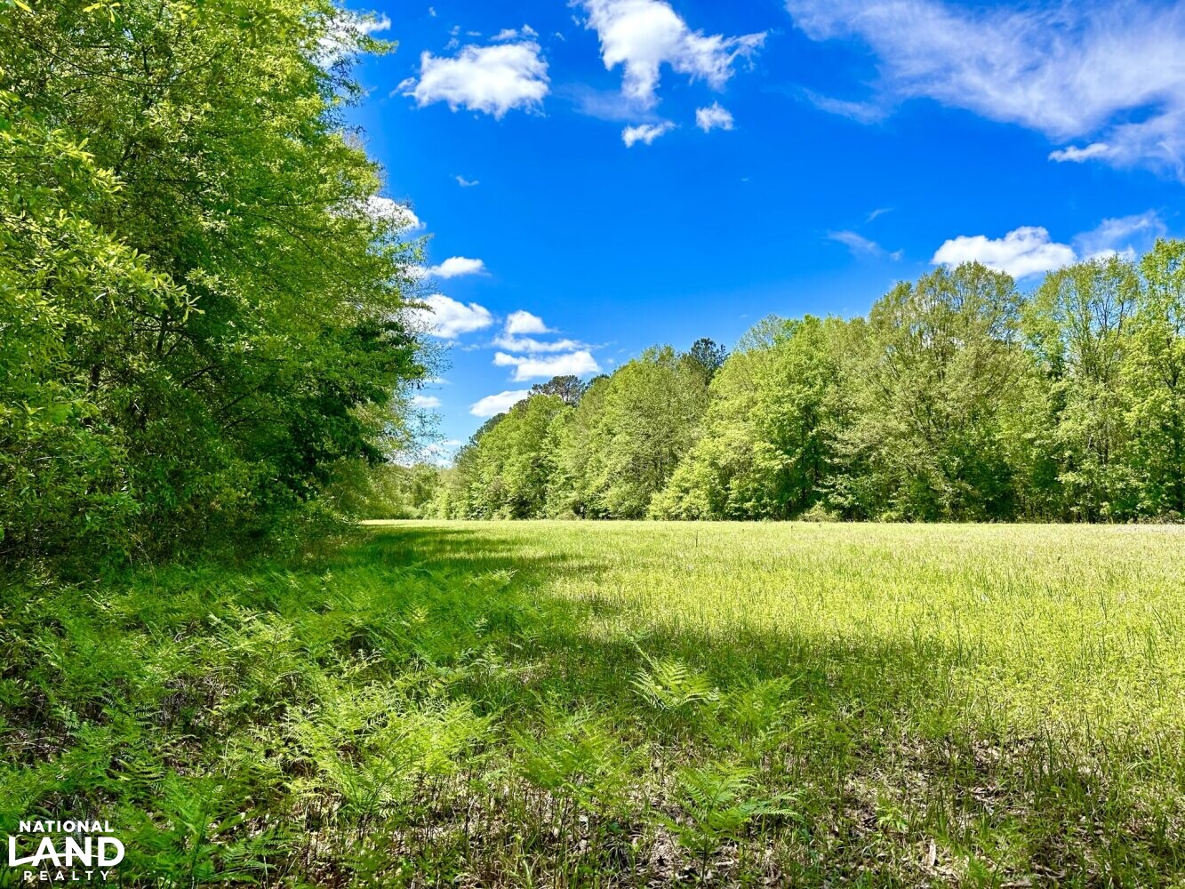 5 +/- acre hayfield (23 of 87)