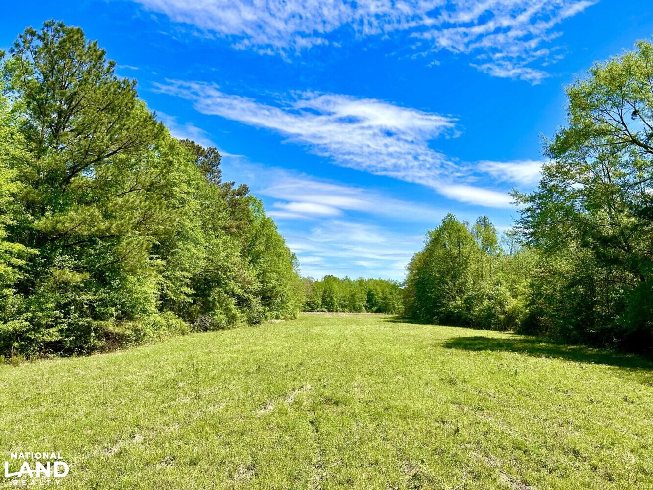5 +/- acre hayfield (28 of 87)