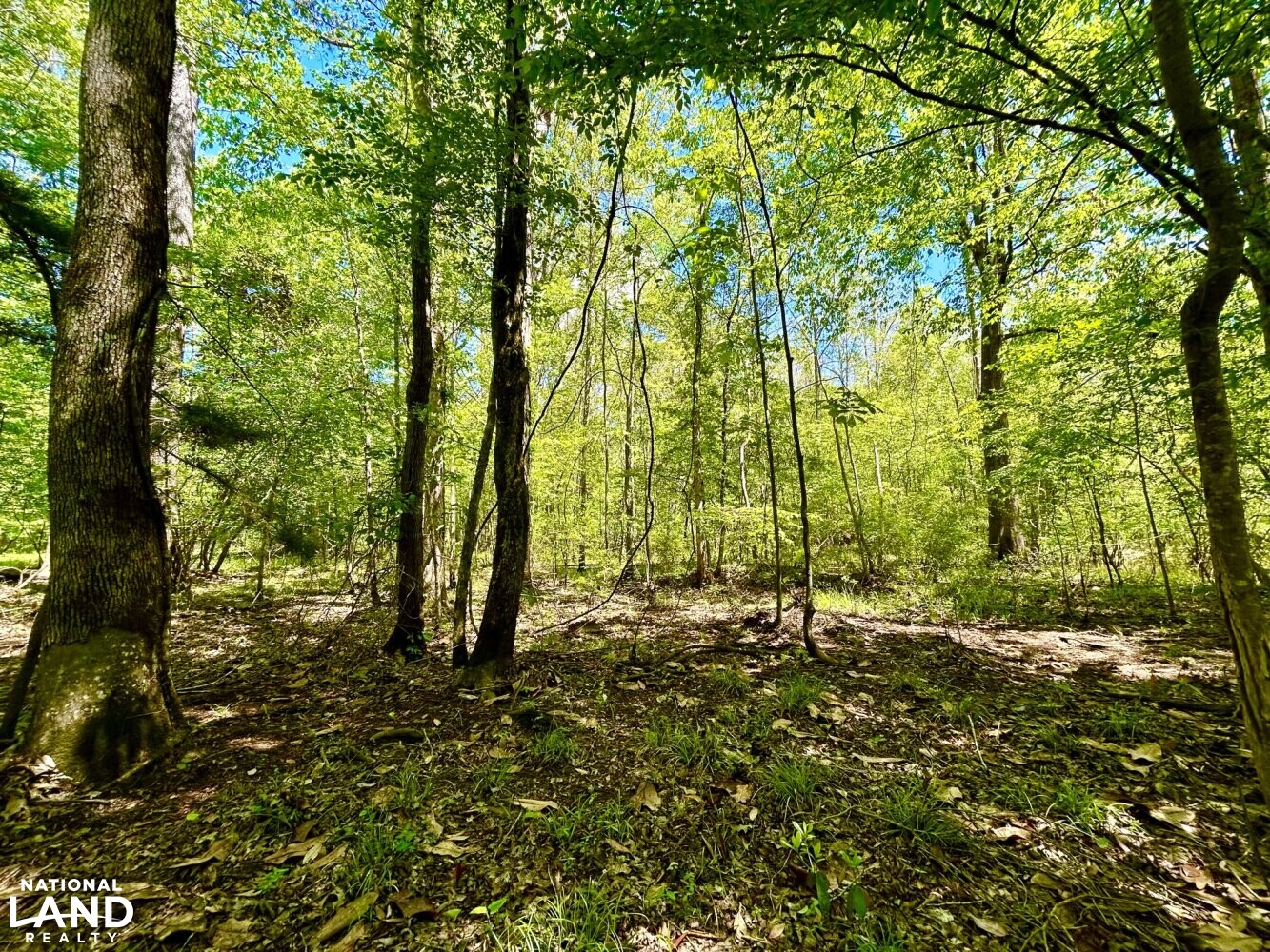 Hardwood Flat (66 of 87)