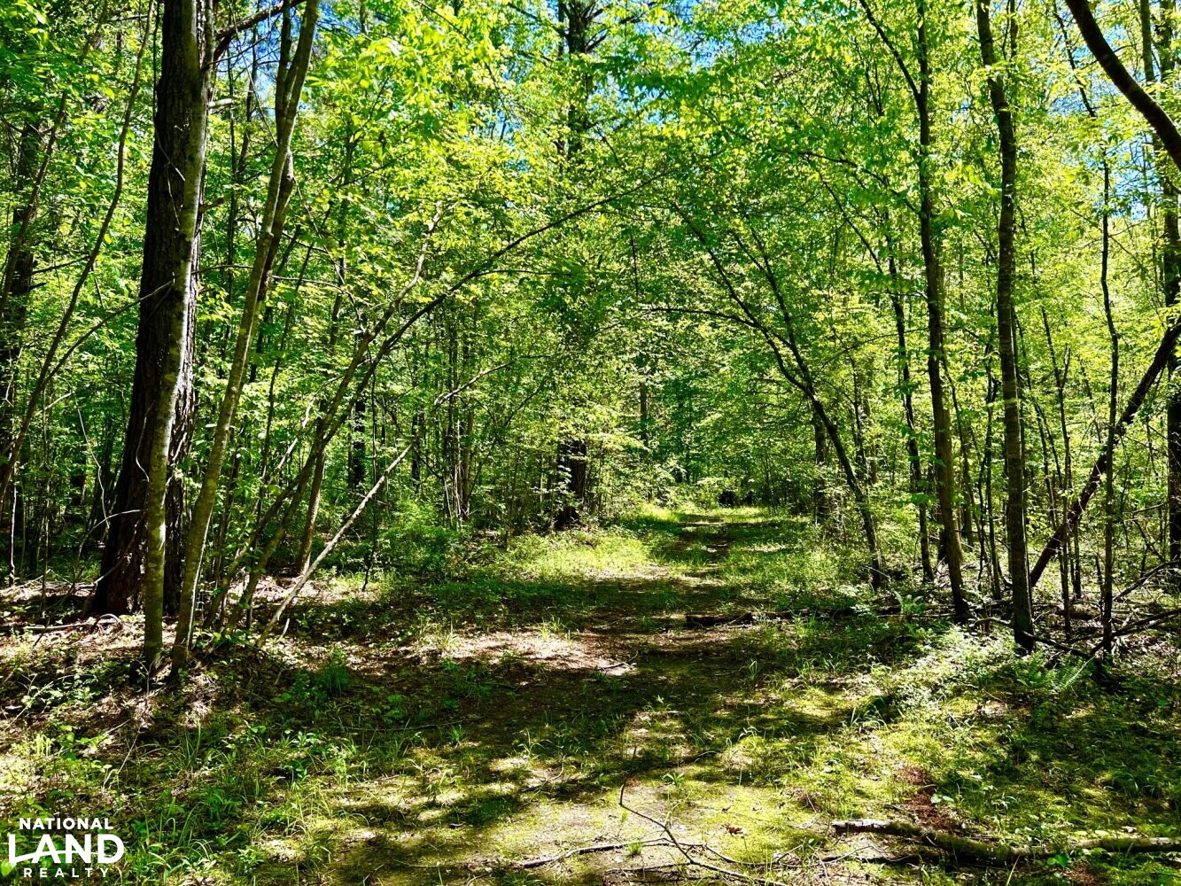 Trail (68 of 87)