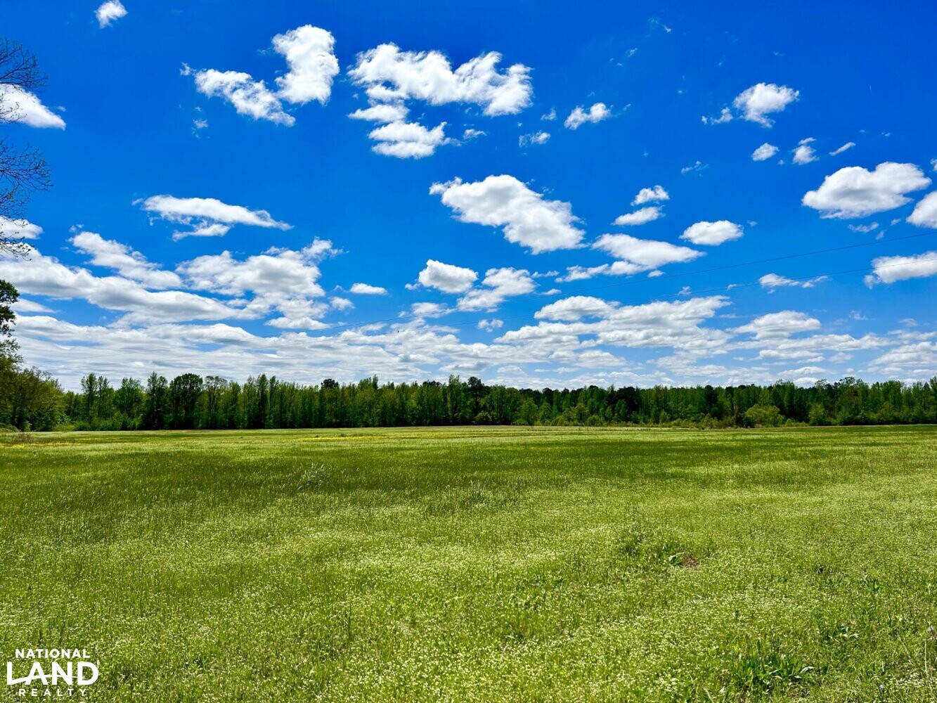 20 +/- acre hayfield (24 of 87)