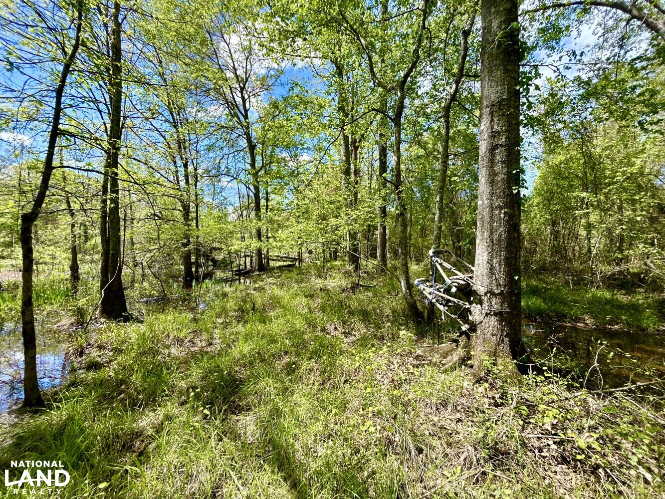 Hunting Stand overlooking Cypress/Gum Slough (79 of 87)