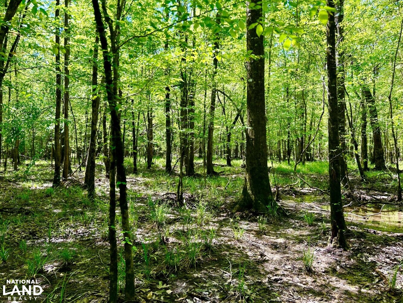 Hardwood Flat (74 of 87)