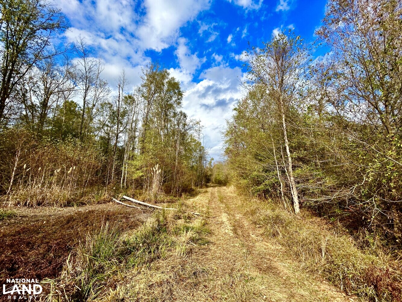 Hickory Homesite, Hay Fields, and Hardwood Timberland in Newton County, MS (9 of 87)
