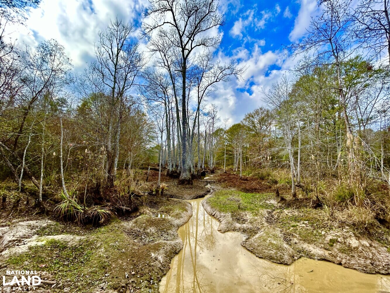 Hickory Homesite, Hay Fields, and Hardwood Timberland in Newton County, MS (17 of 87)