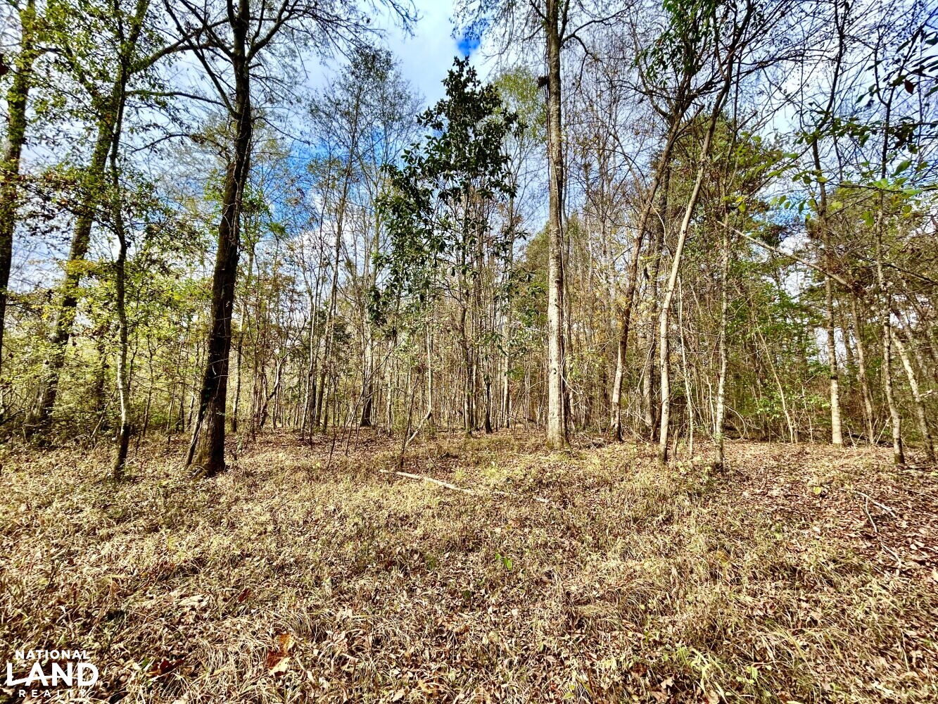 Hickory Homesite, Hay Fields, and Hardwood Timberland in Newton County, MS (14 of 87)