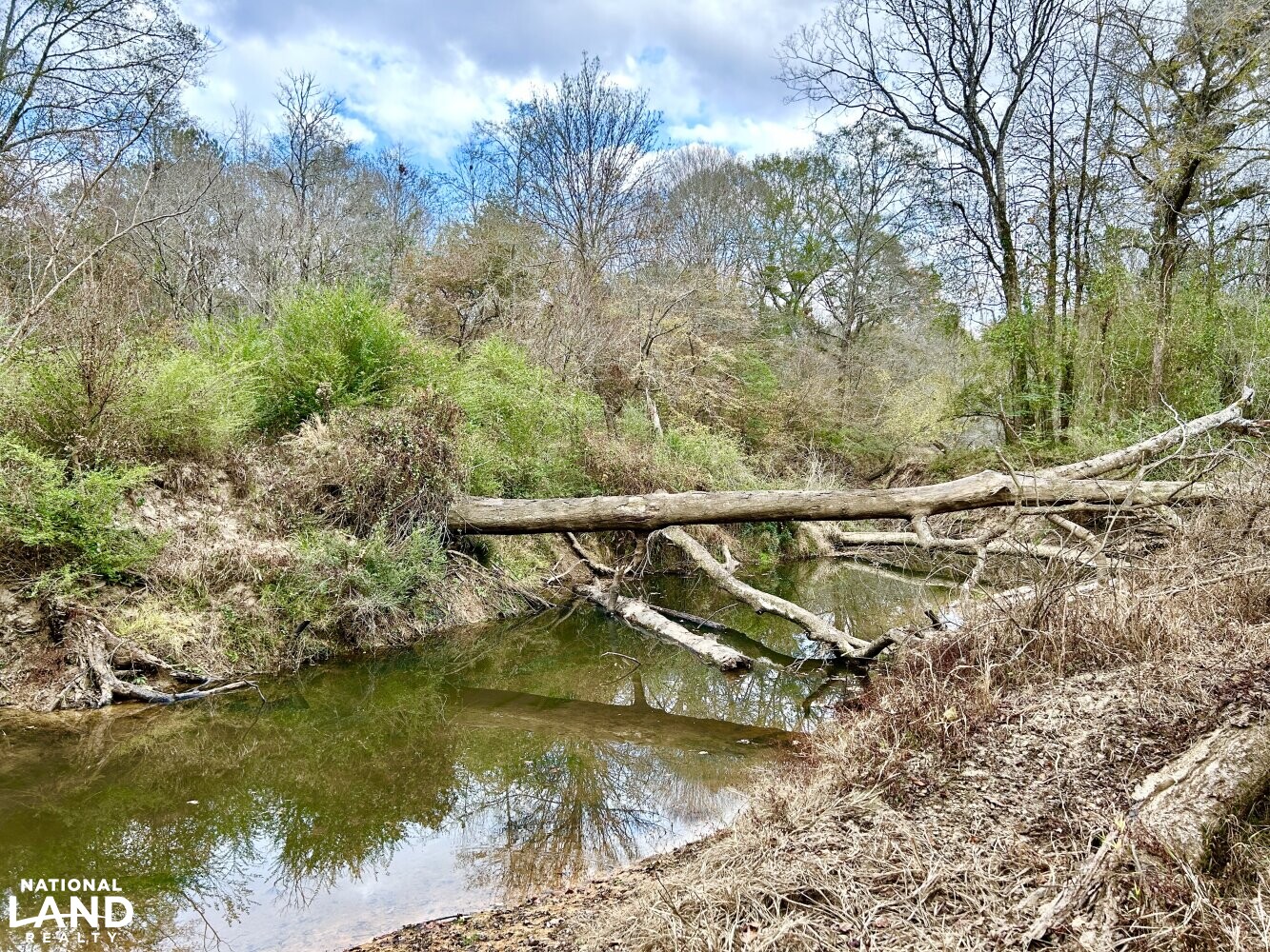 Hickory Homesite, Hay Fields, and Hardwood Timberland in Newton County, MS (13 of 87)