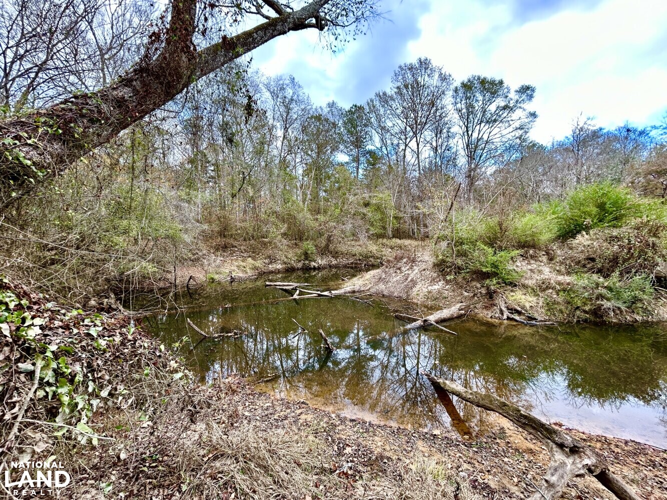 Hickory Homesite, Hay Fields, and Hardwood Timberland in Newton County, MS (12 of 87)