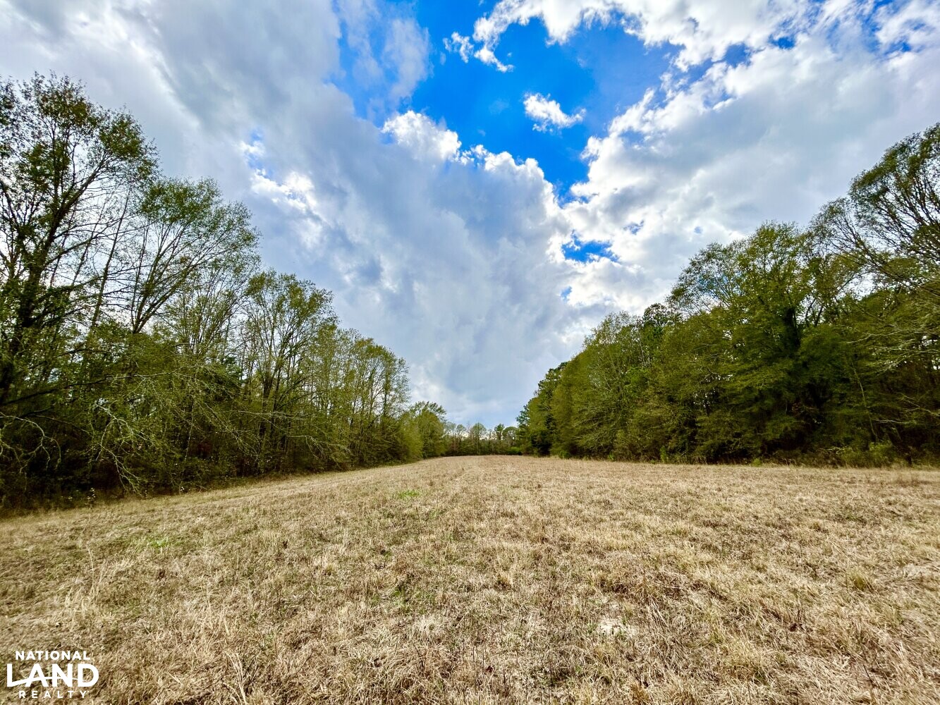 Hickory Homesite, Hay Fields, and Hardwood Timberland in Newton County, MS (11 of 87)