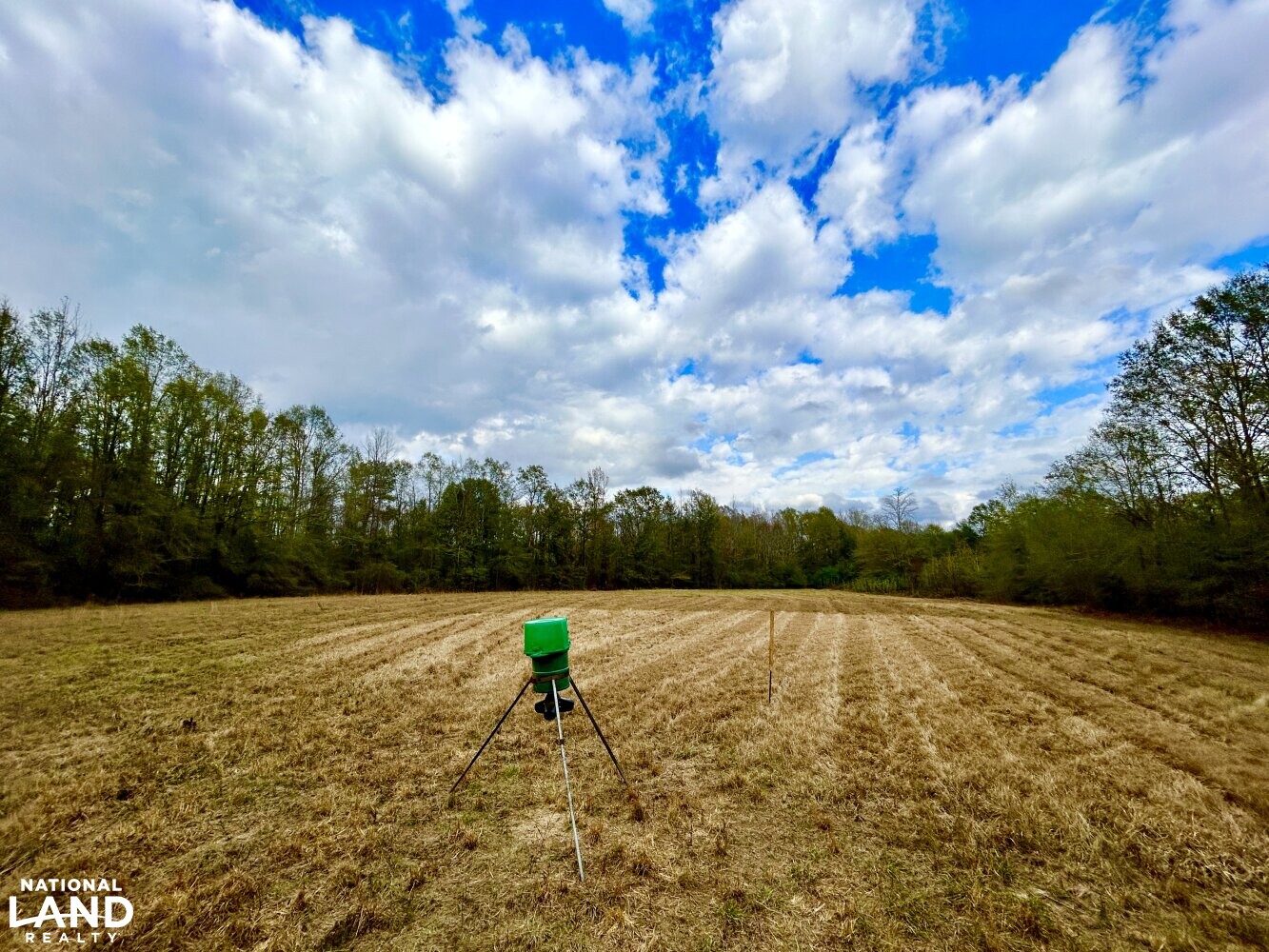 Hickory Homesite, Hay Fields, and Hardwood Timberland in Newton County, MS (10 of 87)