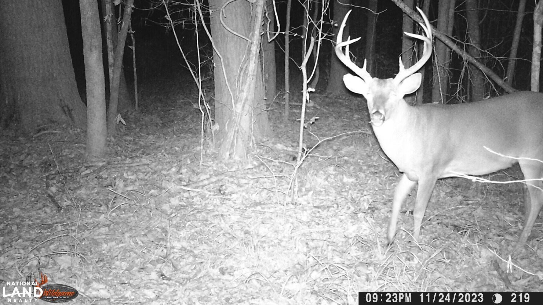 Hickory Homesite, Hay Fields, and Hardwood Timberland in Newton County, MS (80 of 87)