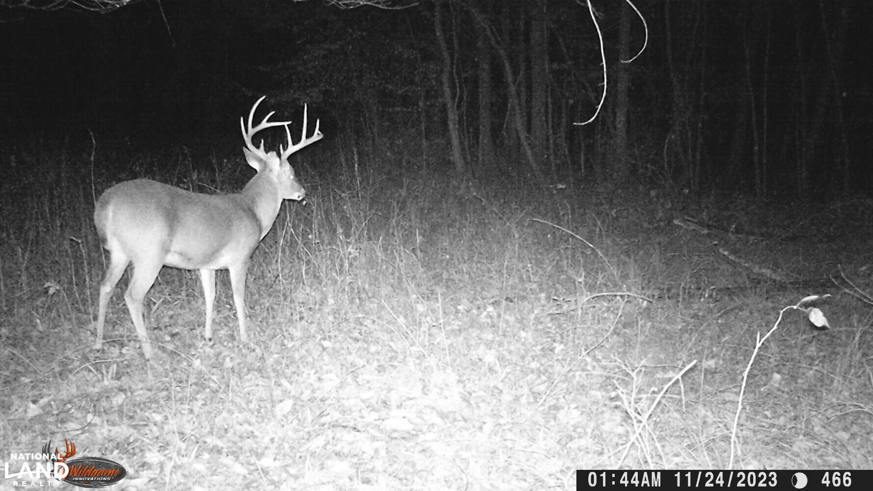Hickory Homesite, Hay Fields, and Hardwood Timberland in Newton County, MS (4 of 87)