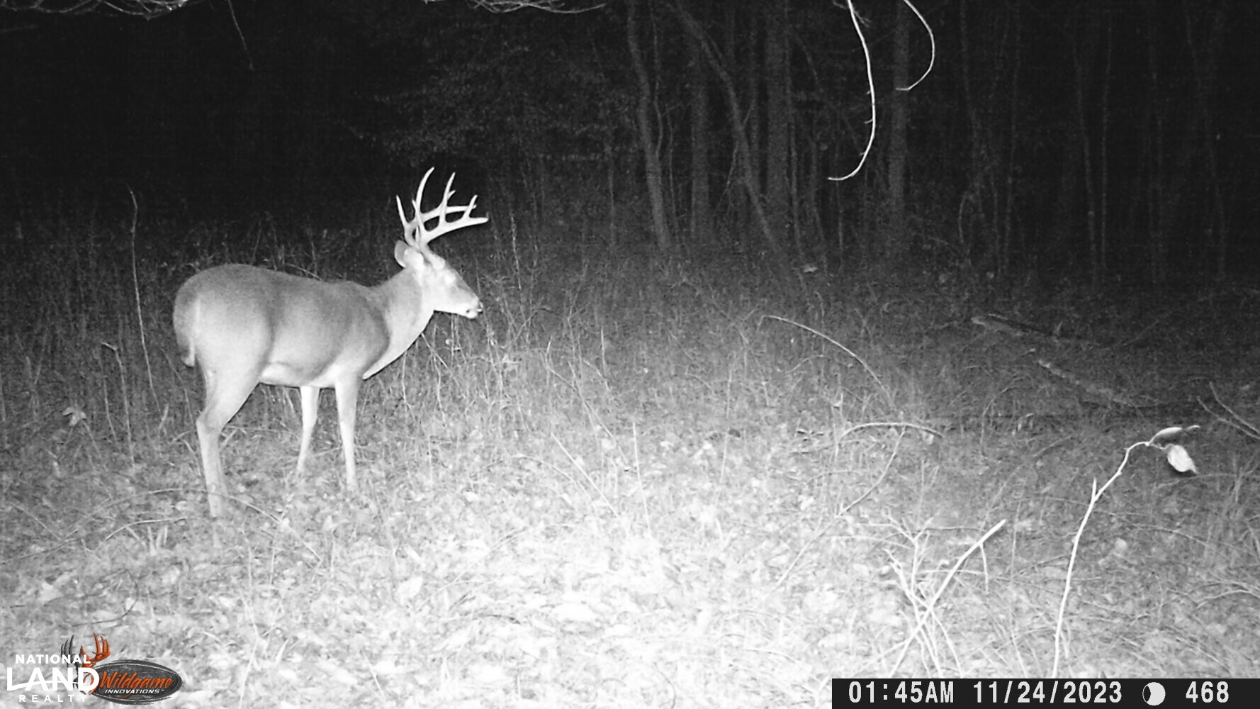 Hickory Homesite, Hay Fields, and Hardwood Timberland in Newton County, MS (1 of 87)