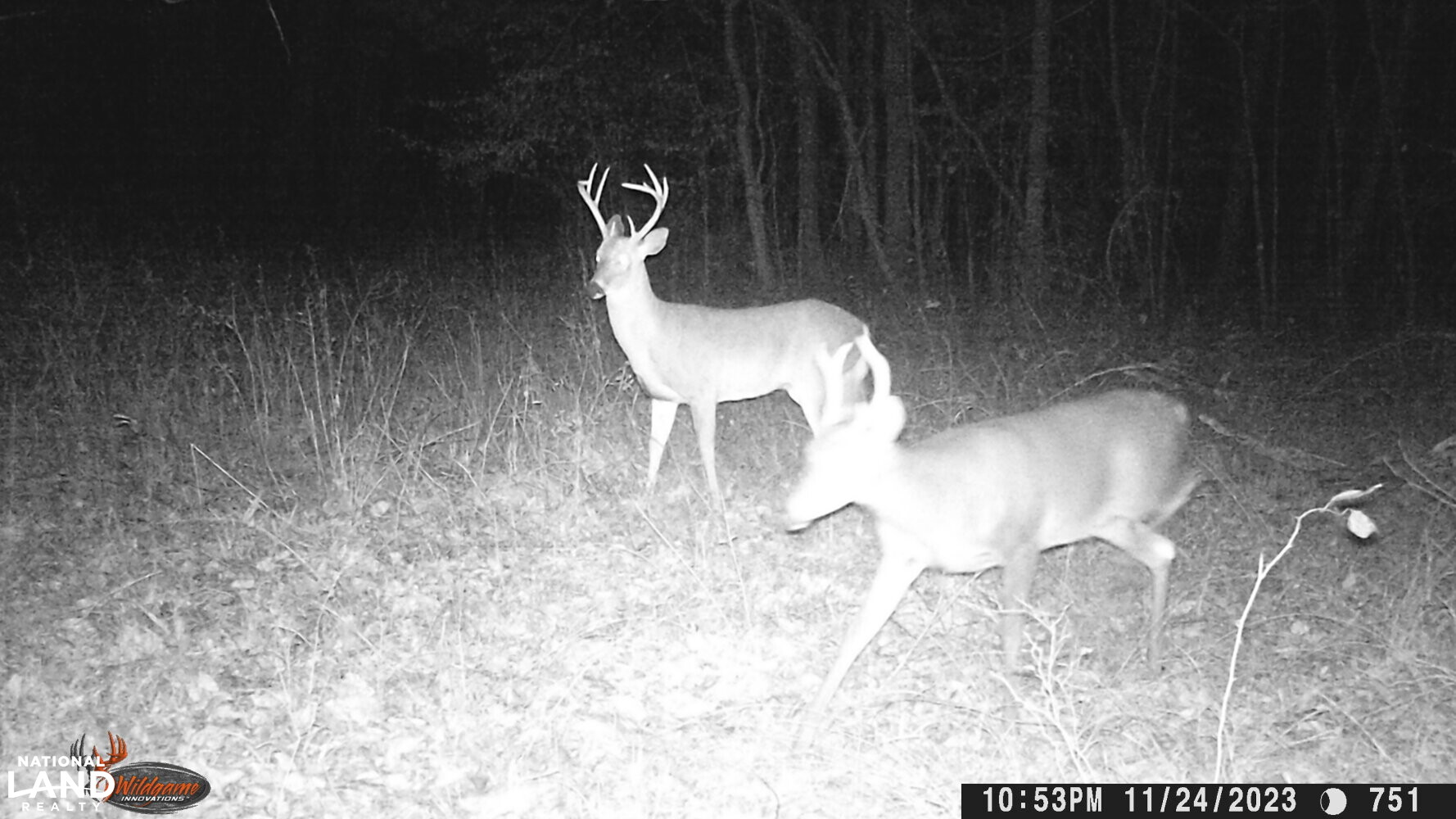 Hickory Homesite, Hay Fields, and Hardwood Timberland in Newton County, MS (5 of 87)