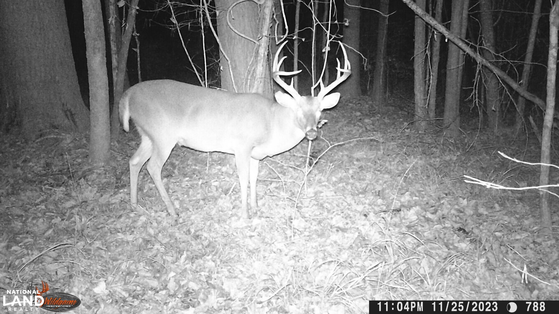 Hickory Homesite, Hay Fields, and Hardwood Timberland in Newton County, MS (85 of 87)