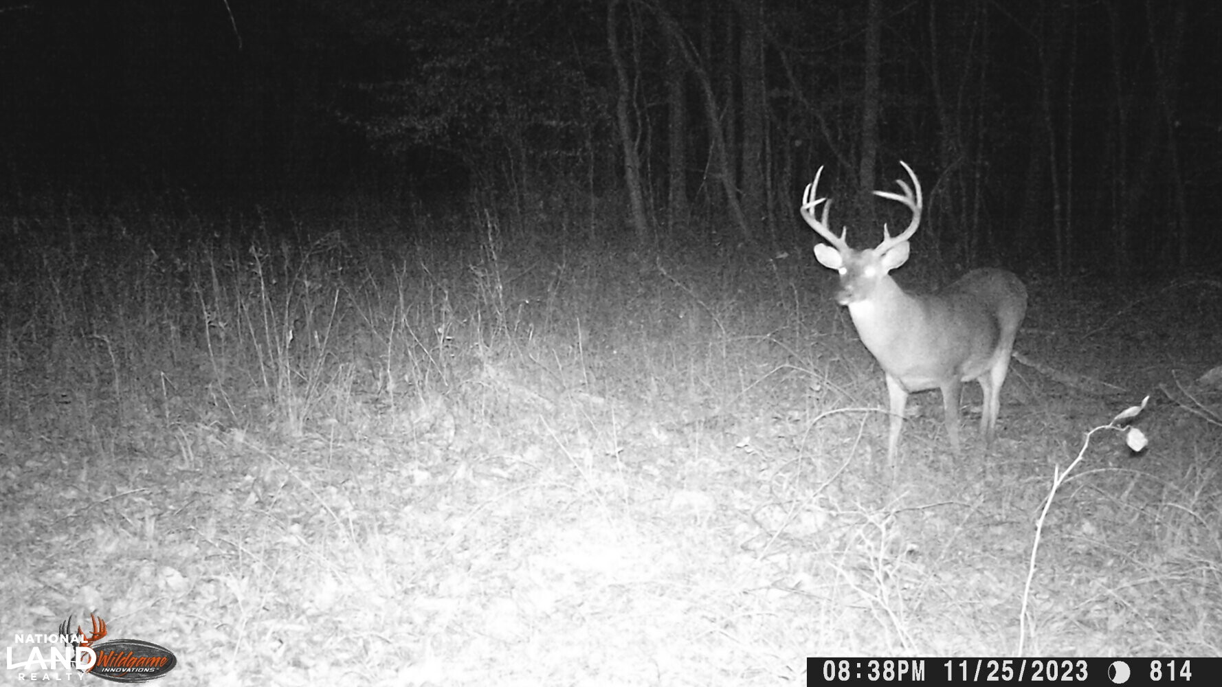 Hickory Homesite, Hay Fields, and Hardwood Timberland in Newton County, MS (86 of 87)