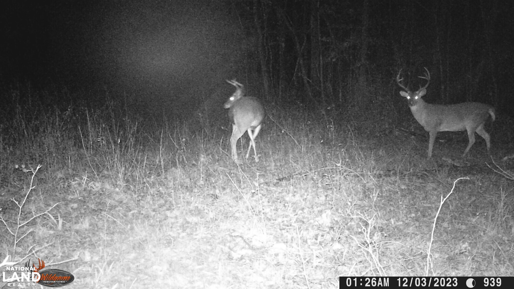 Hickory Homesite, Hay Fields, and Hardwood Timberland in Newton County, MS (87 of 87)