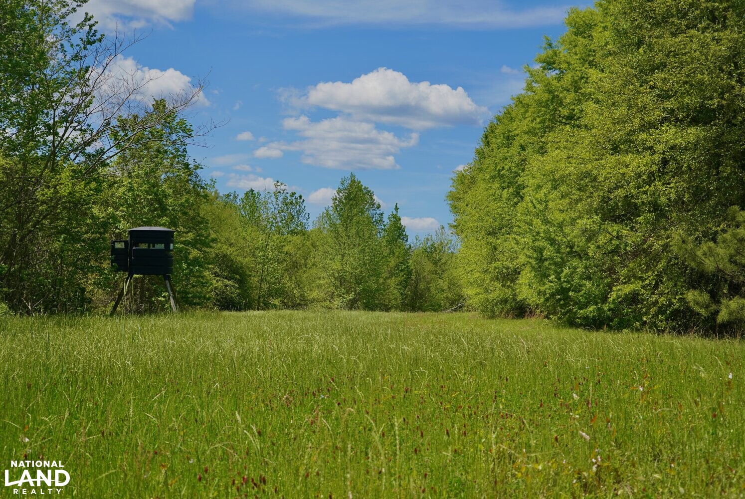 Selma Duck Hunting Retreat in Dallas County, Alabama (95 Photos