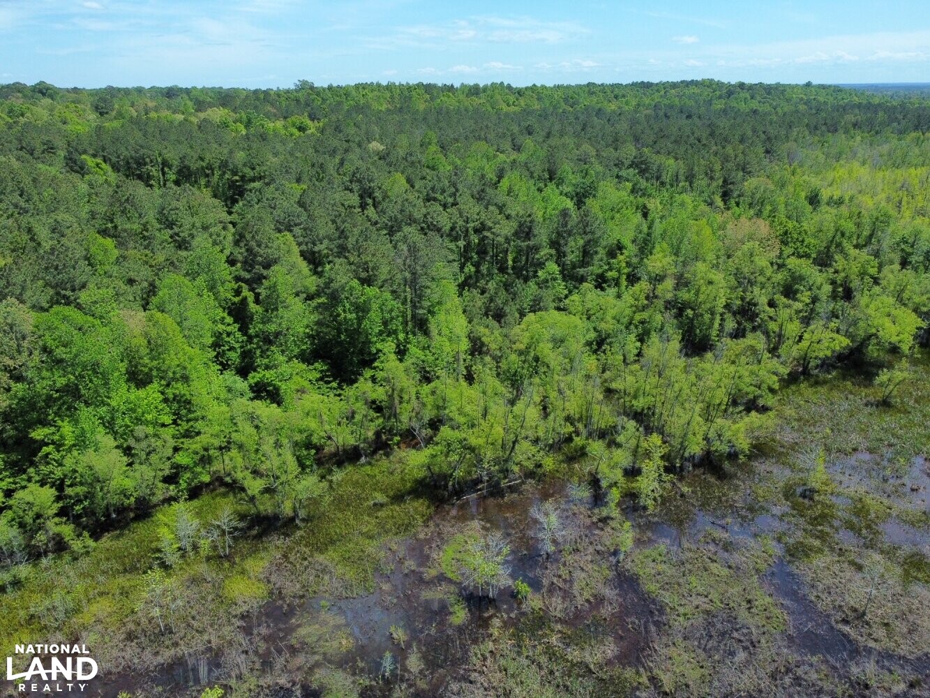 Selma Duck Hunting Retreat in Dallas County, Alabama (95 Photos