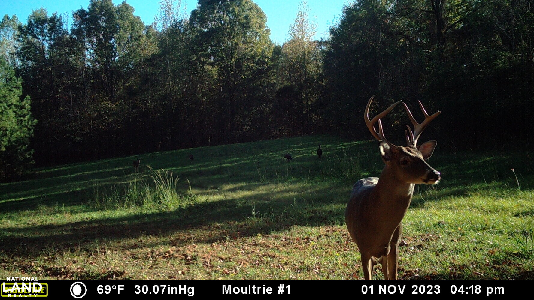 Selma Duck Hunting Retreat in Dallas County, Alabama (95 Photos