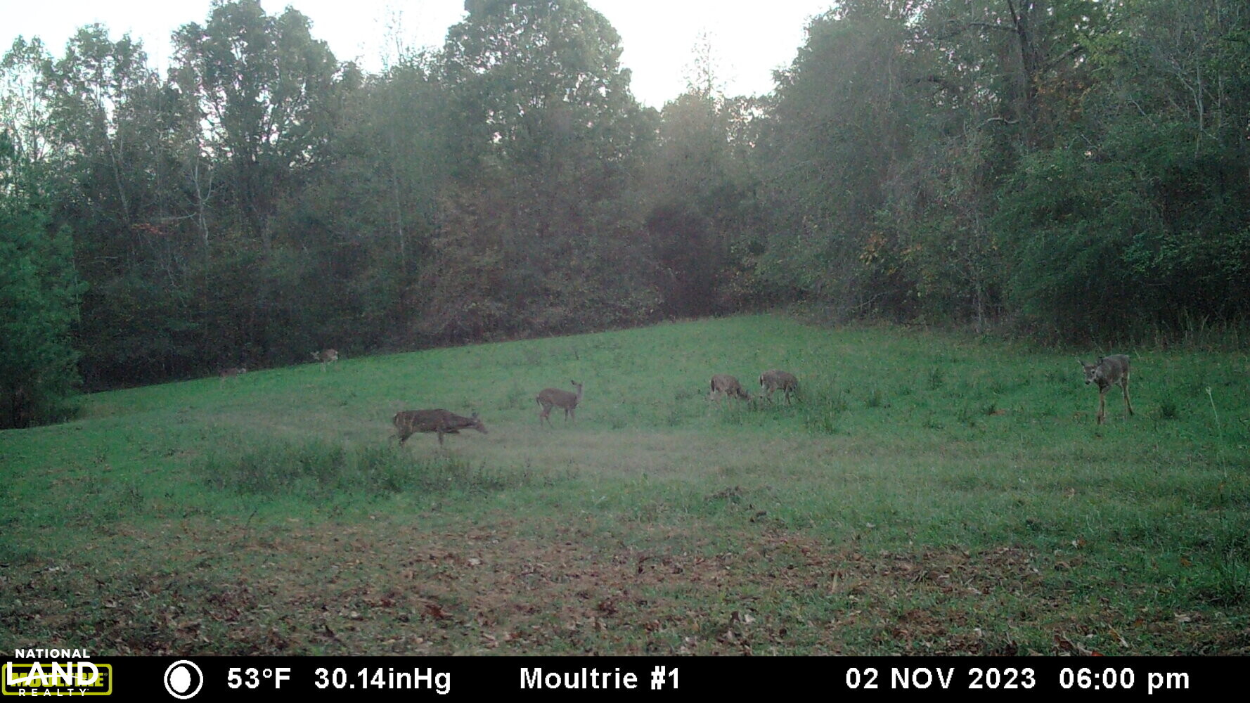 Selma Duck Hunting Retreat in Dallas County, Alabama (95 Photos