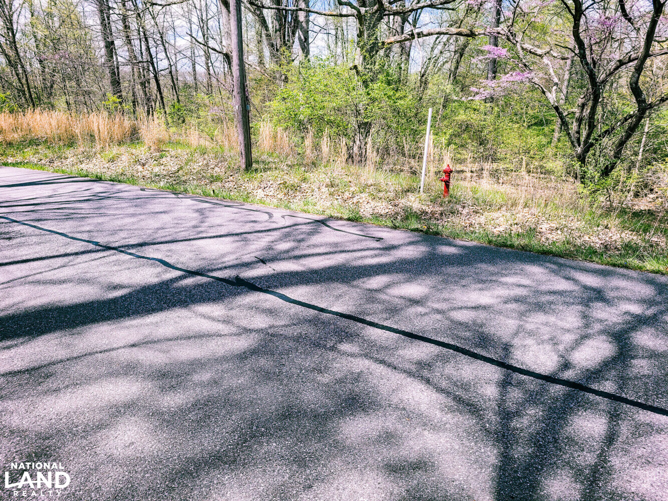 Scottsburg Homesite & Recreational Property in Scott County, IN (5 of 29)