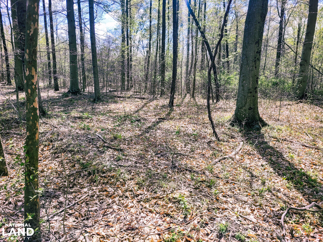 Scottsburg Homesite & Recreational Property in Scott County, IN (9 of 29)