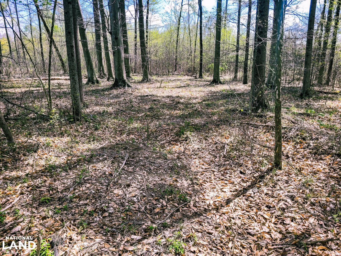Scottsburg Homesite & Recreational Property in Scott County, IN (10 of 29)
