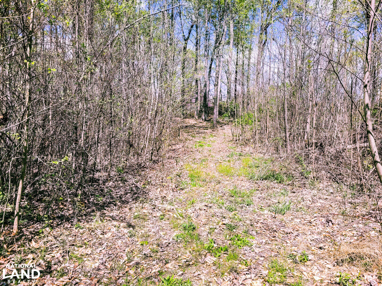 Scottsburg Homesite & Recreational Property in Scott County, IN (11 of 29)