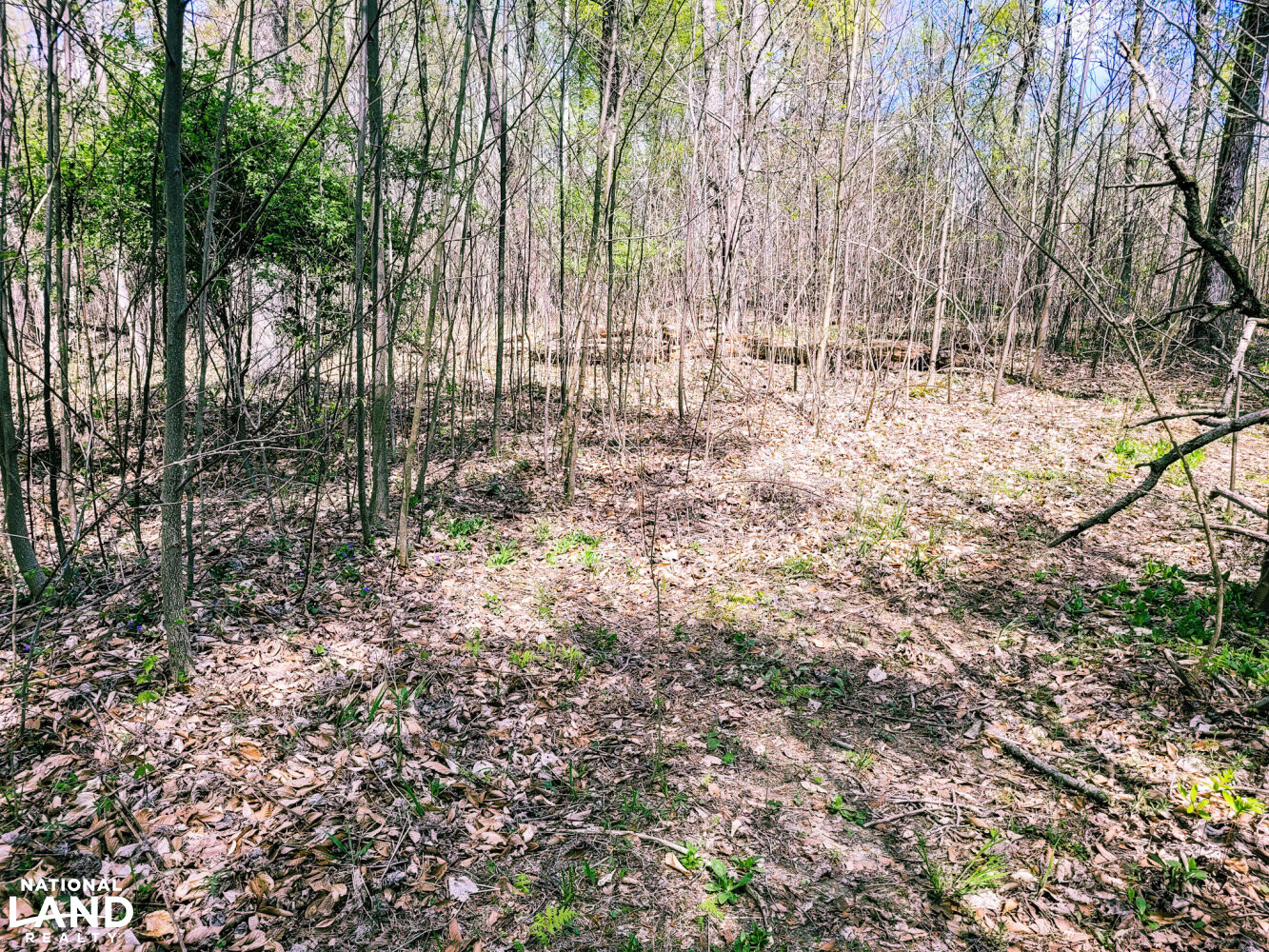 Scottsburg Homesite & Recreational Property in Scott County, IN (13 of 29)