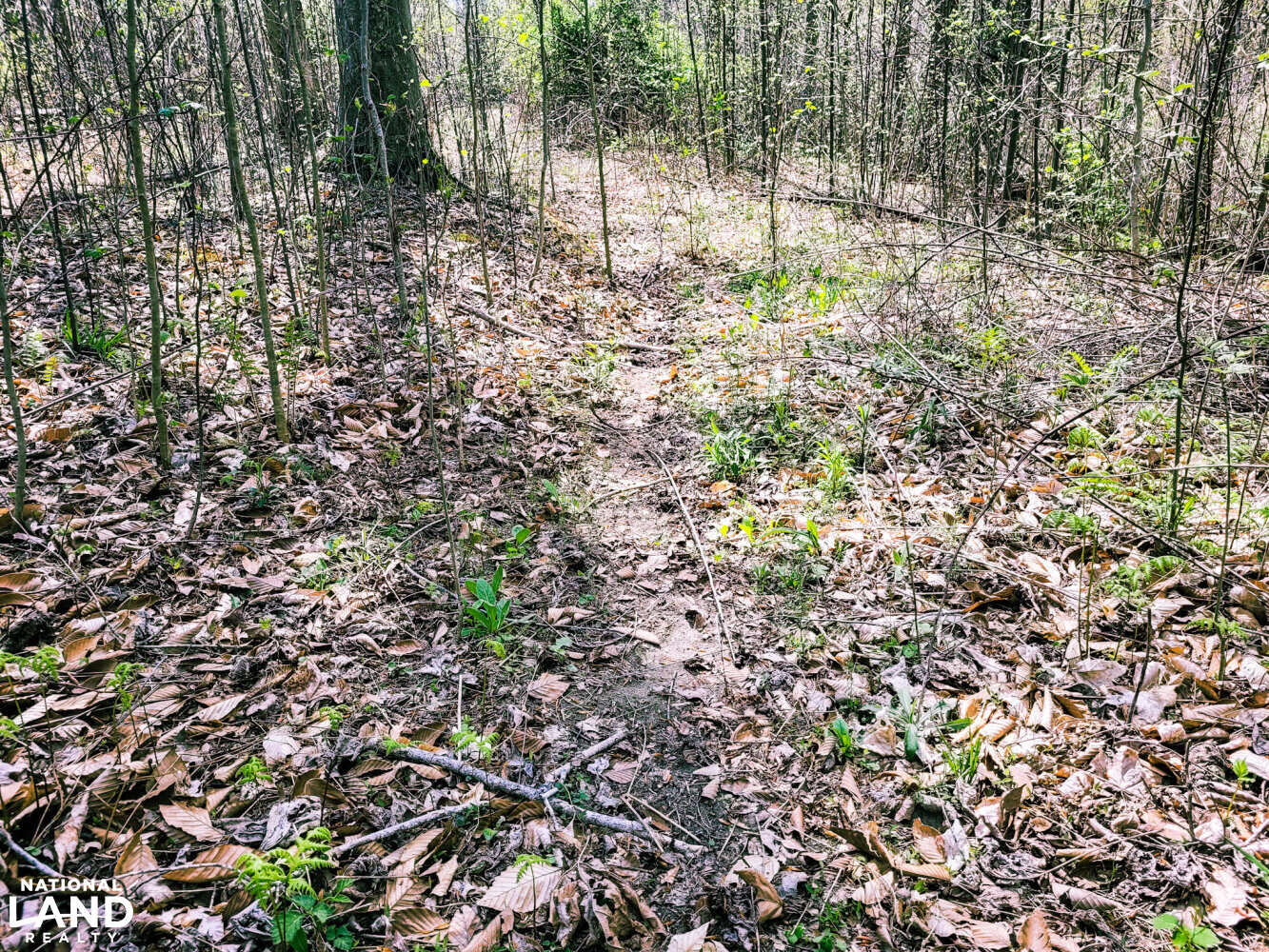 Scottsburg Homesite & Recreational Property in Scott County, IN (14 of 29)