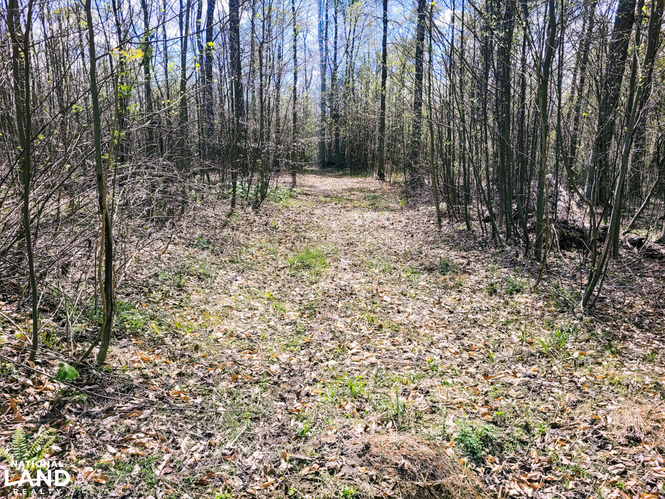 Scottsburg Homesite & Recreational Property in Scott County, IN (15 of 29)