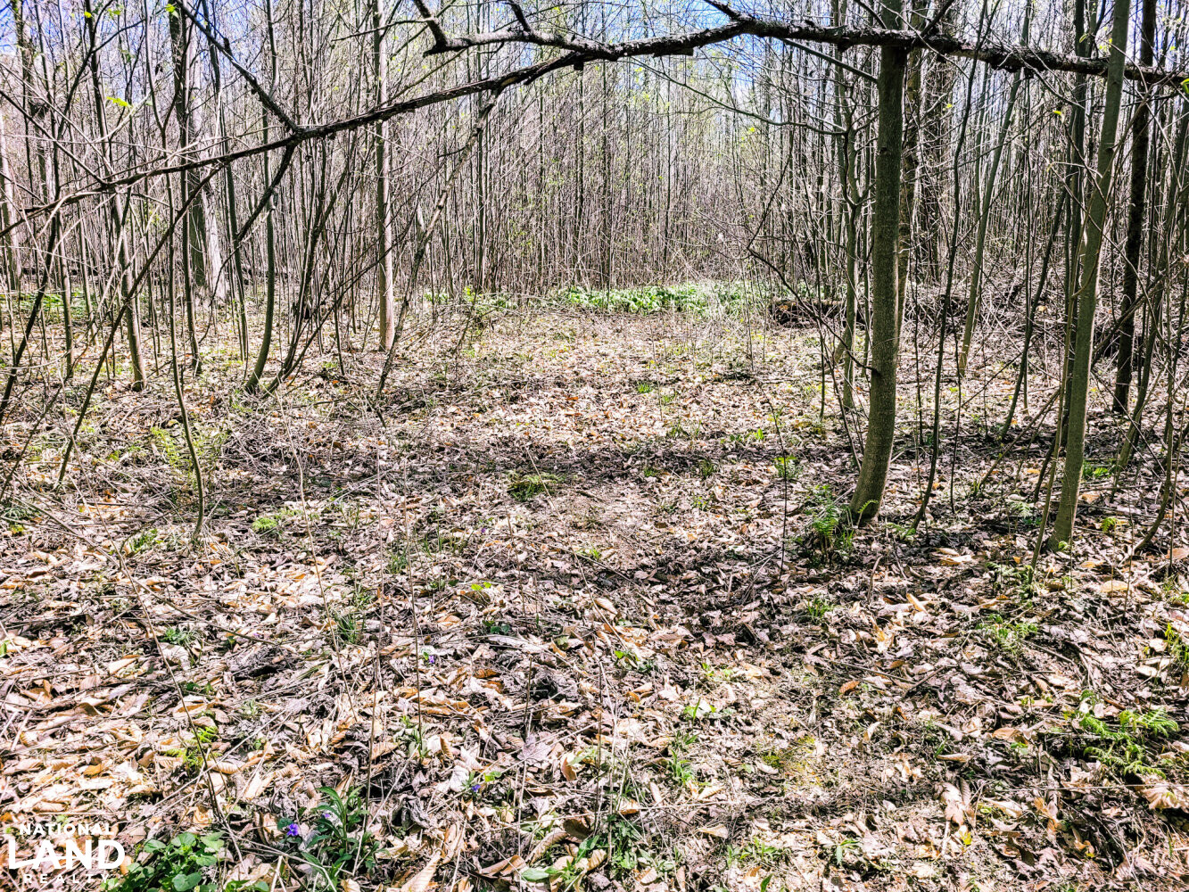 Scottsburg Homesite & Recreational Property in Scott County, IN (17 of 29)