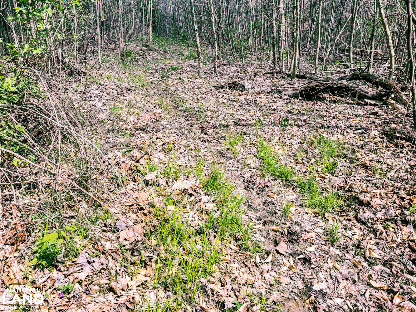 Scottsburg Homesite & Recreational Property in Scott County, IN (18 of 29)