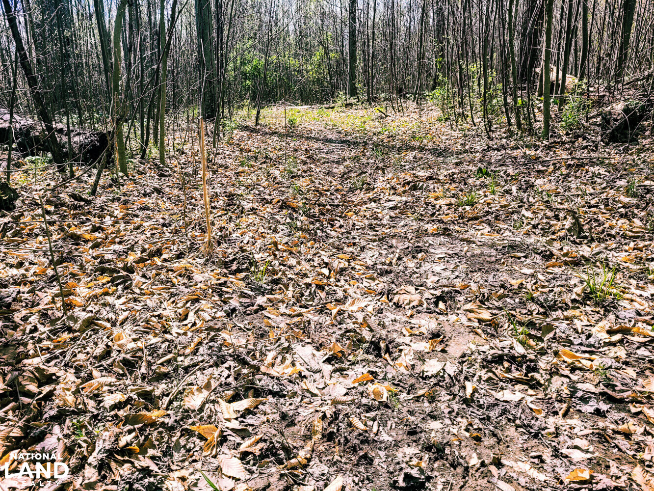 Scottsburg Homesite & Recreational Property in Scott County, IN (19 of 29)