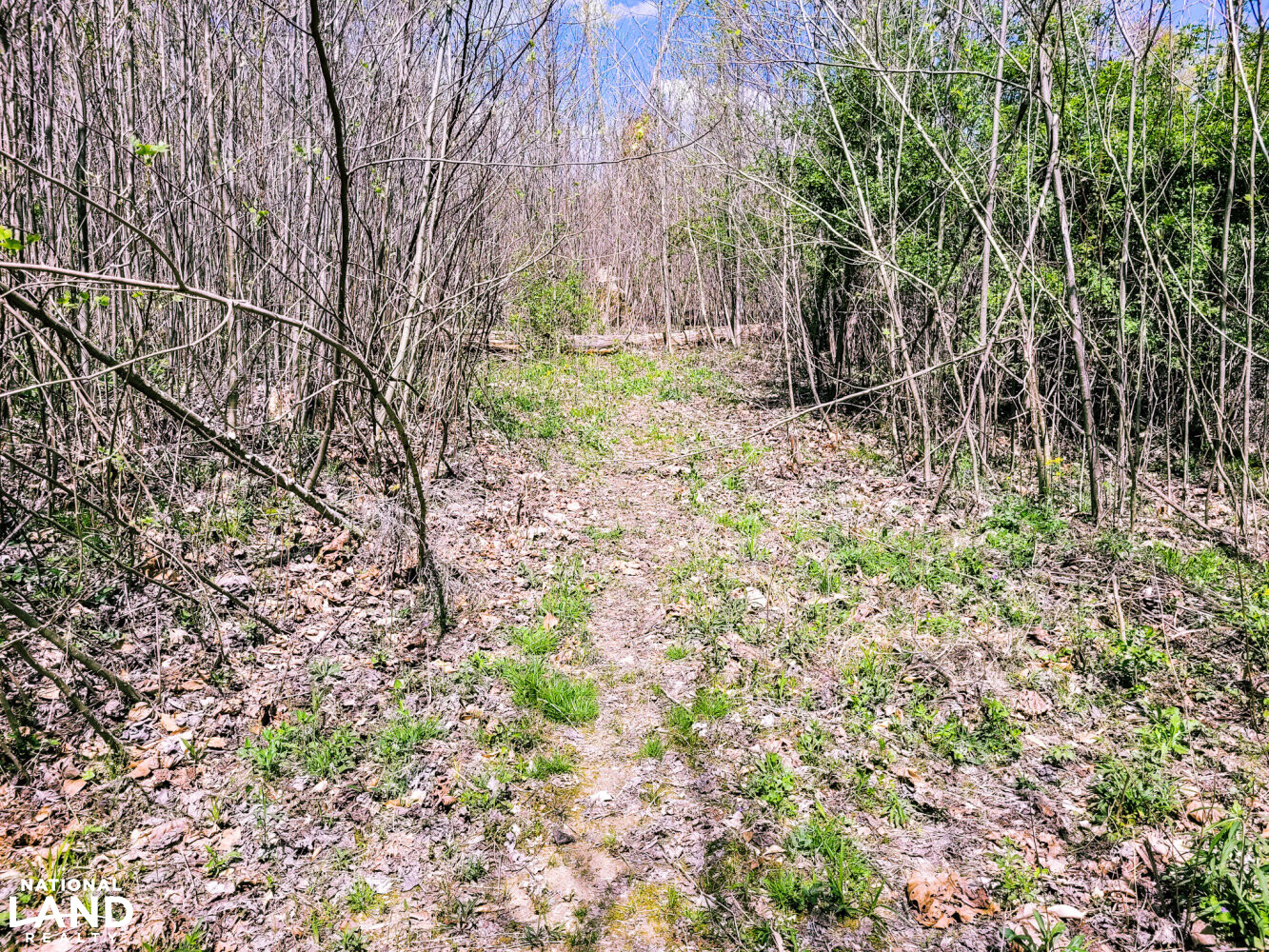 Scottsburg Homesite & Recreational Property in Scott County, IN (20 of 29)