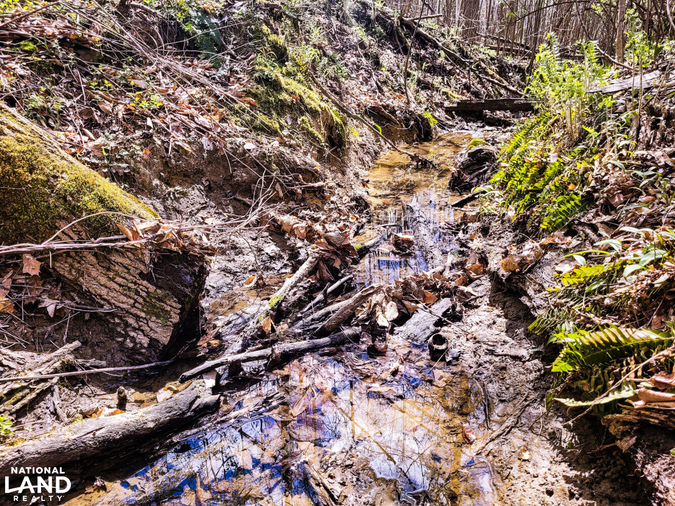Small stream running across the property. (21 of 29)