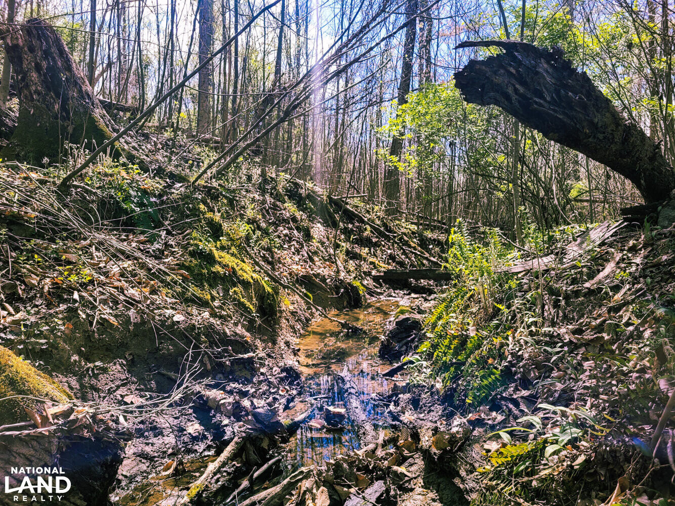 Scottsburg Homesite & Recreational Property in Scott County, IN (22 of 29)
