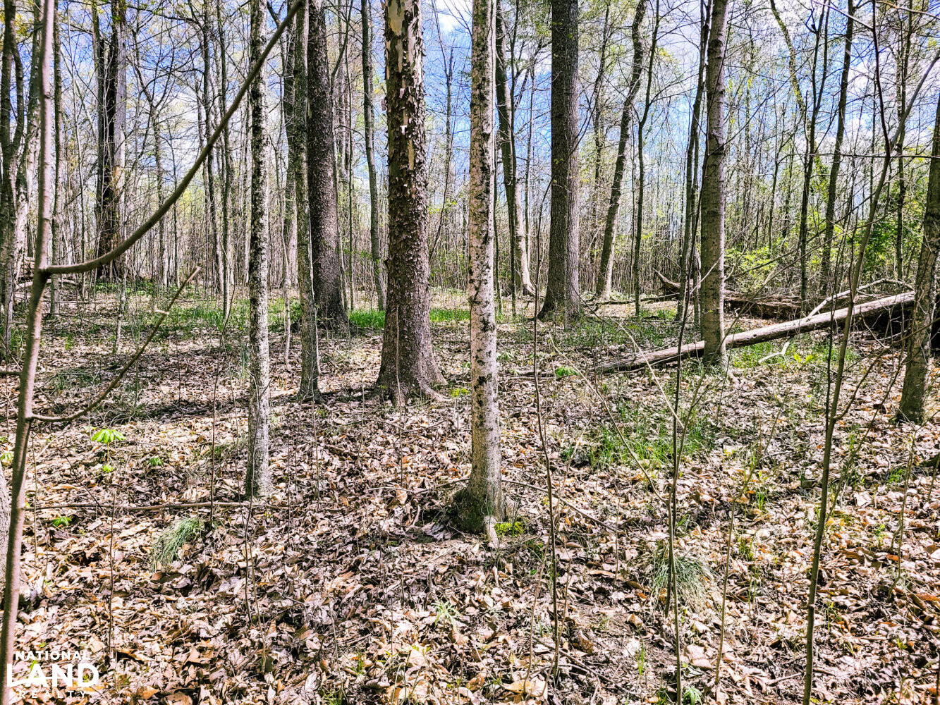 Scottsburg Homesite & Recreational Property in Scott County, IN (23 of 29)
