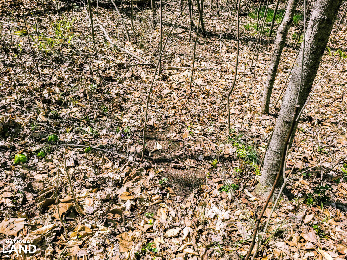 Scottsburg Homesite & Recreational Property in Scott County, IN (24 of 29)