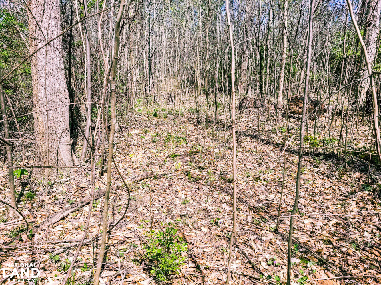 Scottsburg Homesite & Recreational Property in Scott County, IN (25 of 29)