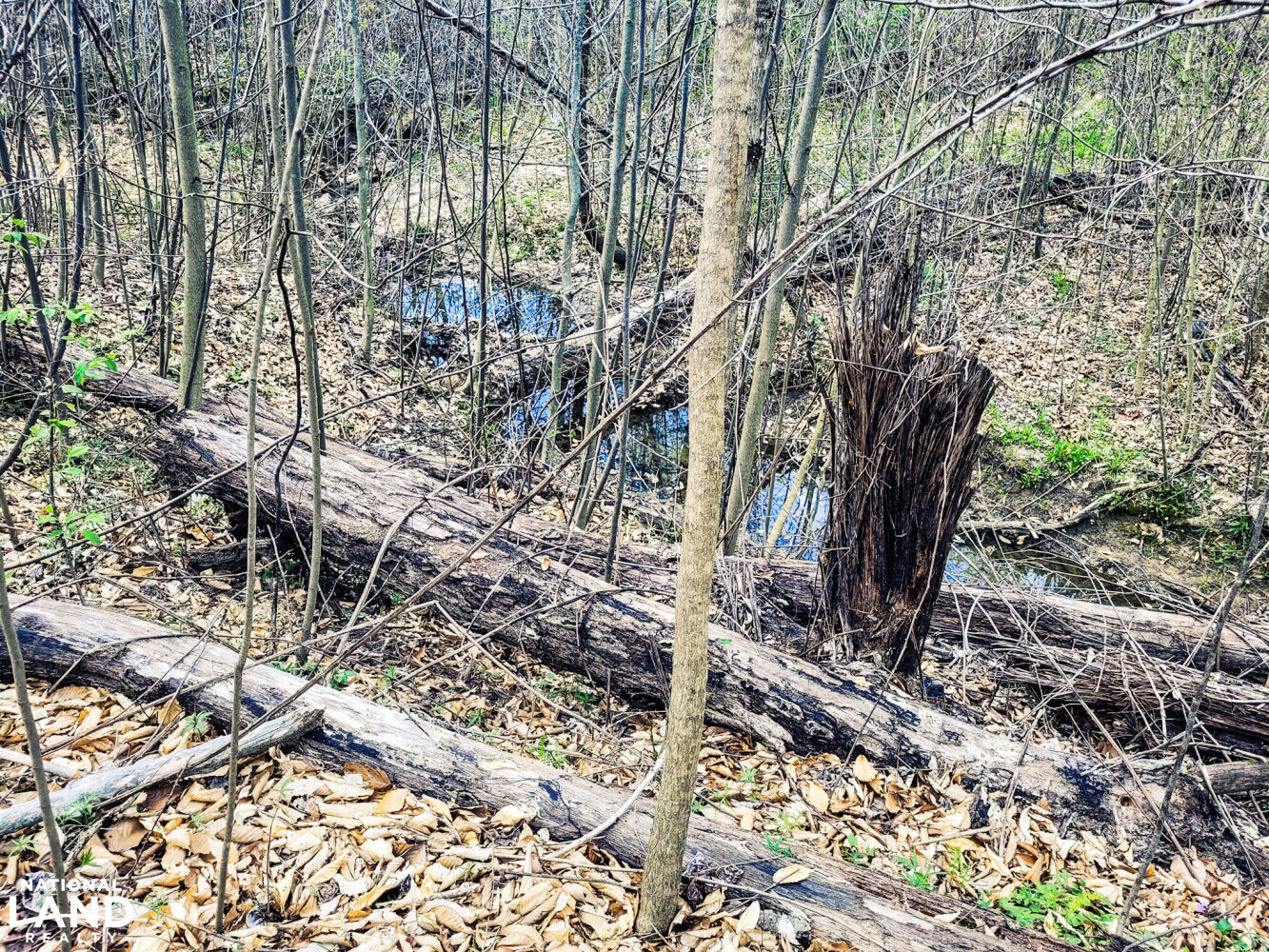 Scottsburg Homesite & Recreational Property in Scott County, IN (26 of 29)