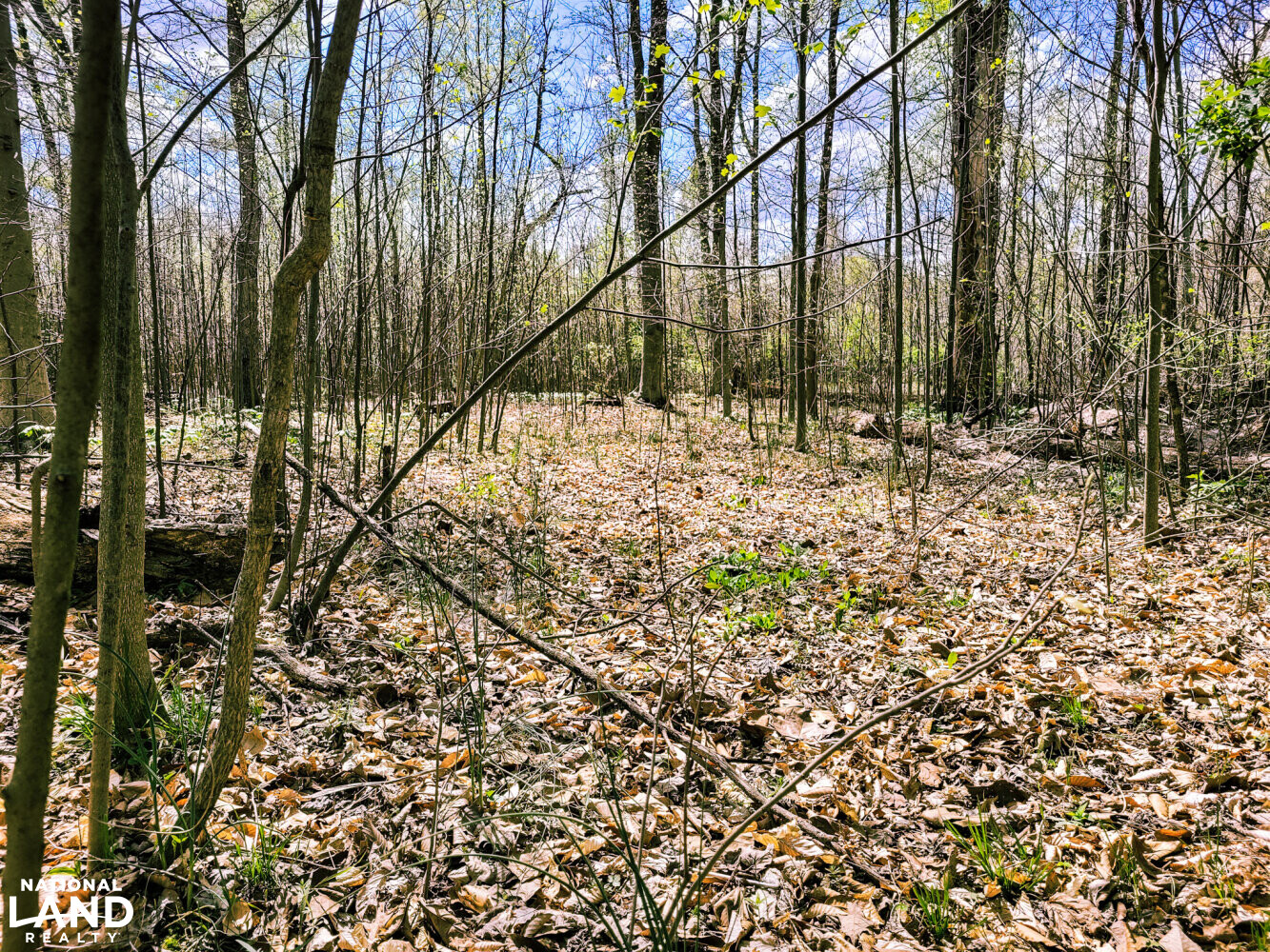 Scottsburg Homesite & Recreational Property in Scott County, IN (27 of 29)