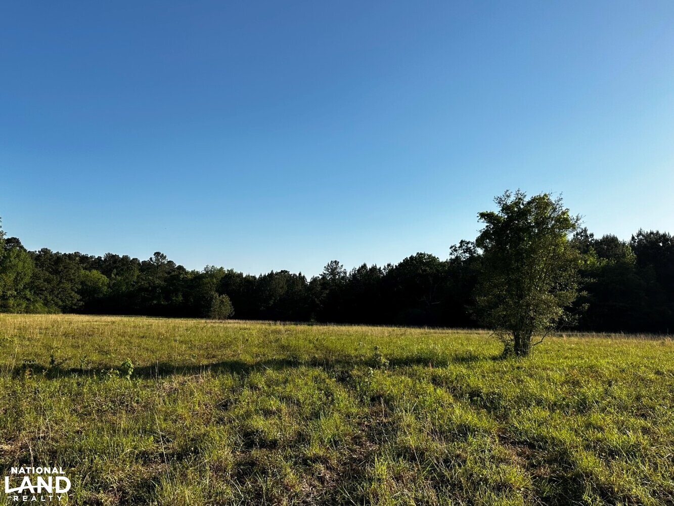 Baxterville Farm and Home in Lamar County, Mississippi (41 Photos