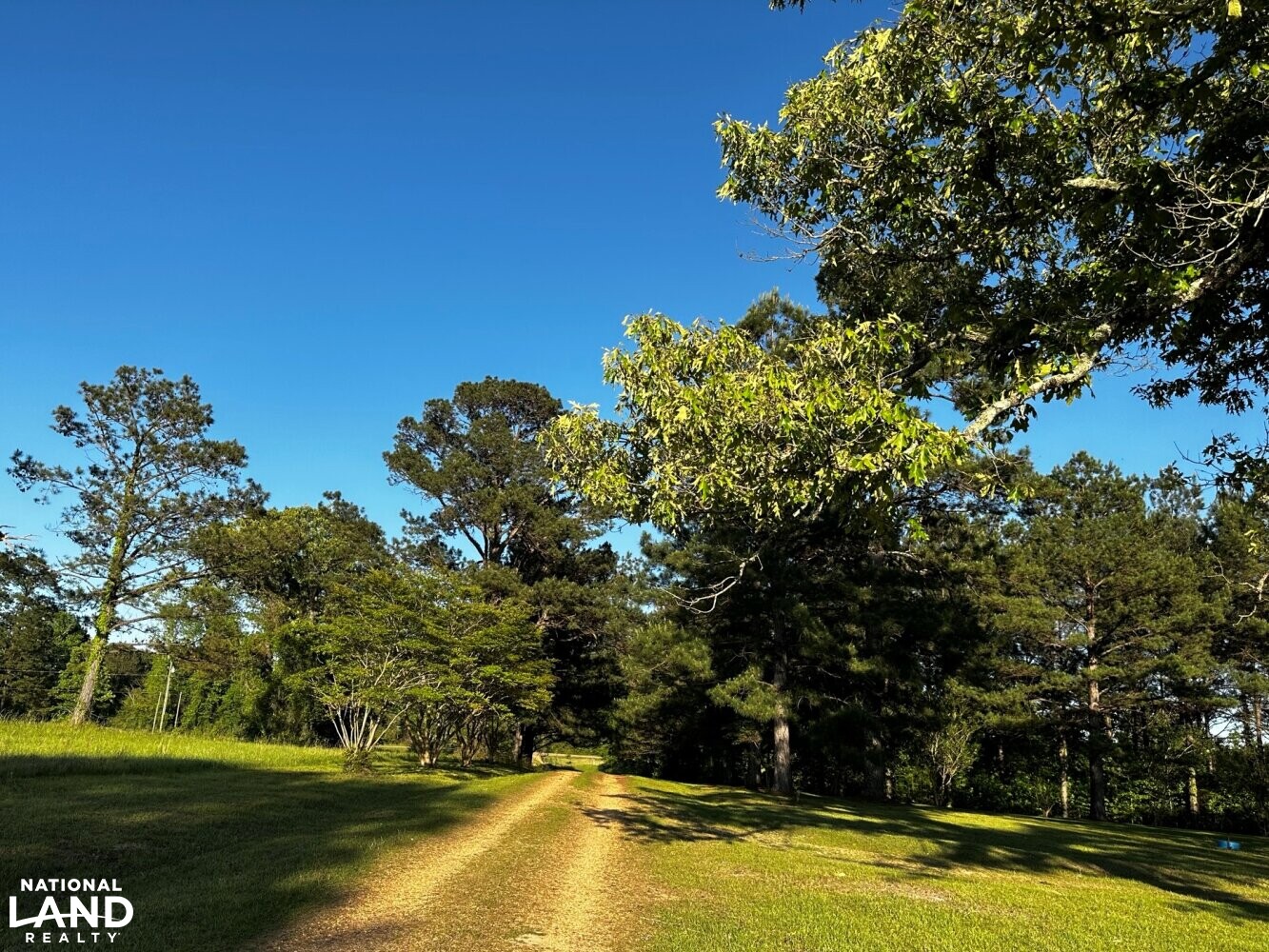 Baxterville Farm and Home in Lamar County, Mississippi (41 Photos